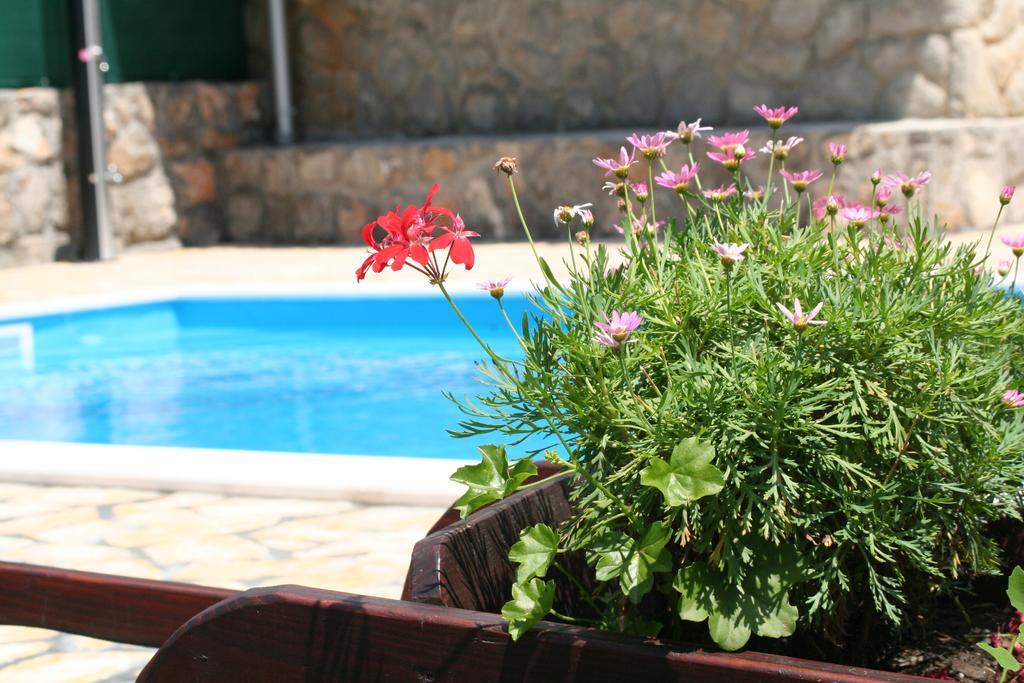 Apartments Petricic With Swimming Pool Ičići Exteriör bild